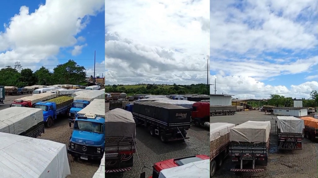 Caminhões carregados de laranja aguardavam para descarregar na última quinta-feira (24) | Foto: Reprodução