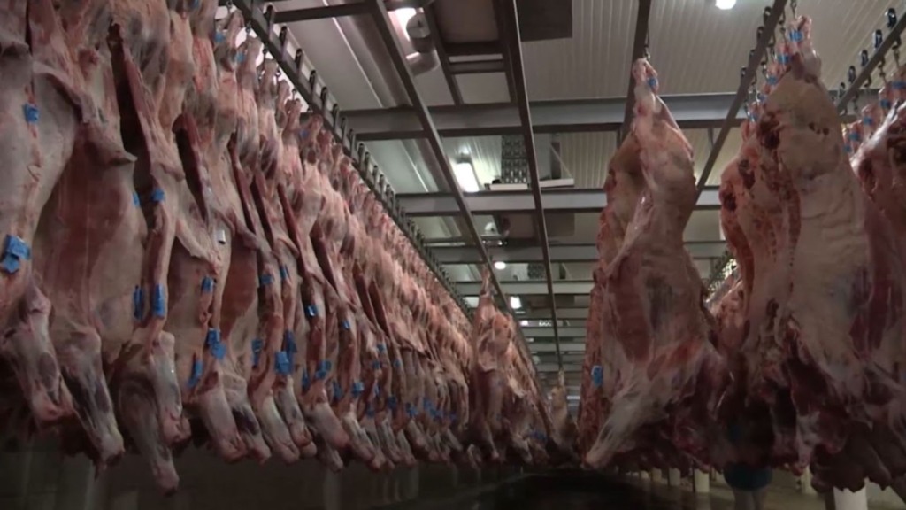 Resíduos na carne: veterinário alerta sobre carência de medicamentos no rebanho Resíduos na carne: veterinário alerta sobre carência de medicamentos no rebanho