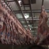 Resíduos na carne: veterinário alerta sobre carência de medicamentos no rebanho