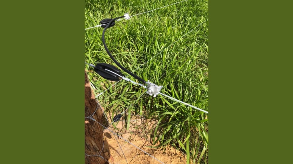 Detalhe de instalação da cerca elétrica na fazenda. Foto: Divulgação/Ernesto Coser