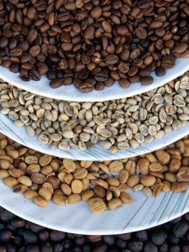 grãos de café grãos de café