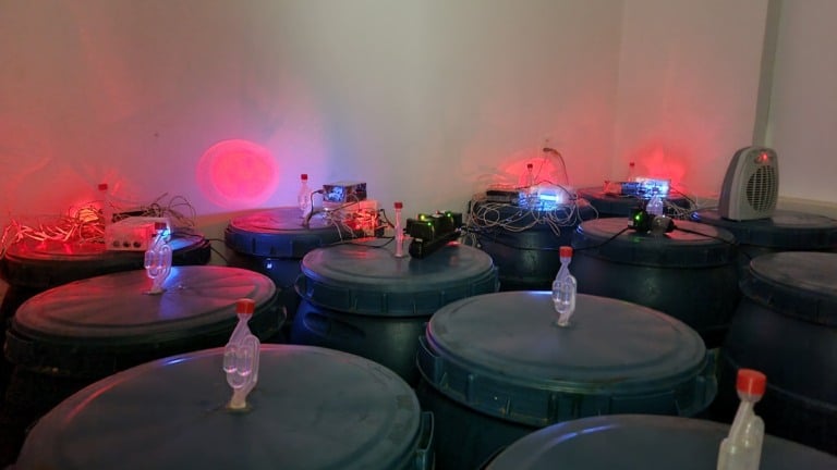 Fermentação anaeróbica autoinduzida é realizada em biorreatores onde microrganismos induzem alterações nos grãos de café (foto: Grupo da Semente à Xícara/arquivo)