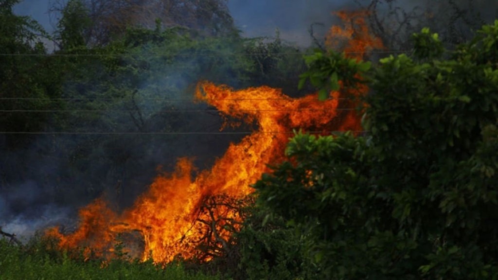 Fazenda atingida por desastre? Saiba como pedir isenção do ITR Fazenda atingida por desastre? Saiba como pedir isenção do ITR