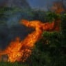 Fazenda atingida por desastre? Saiba como pedir isenção do ITR Fazenda atingida por desastre? Saiba como pedir isenção do ITR