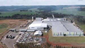 indústria férias coletivas Paraná - fábrica Millpar