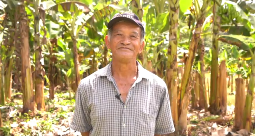 Imagem de um homem no meio do bananal