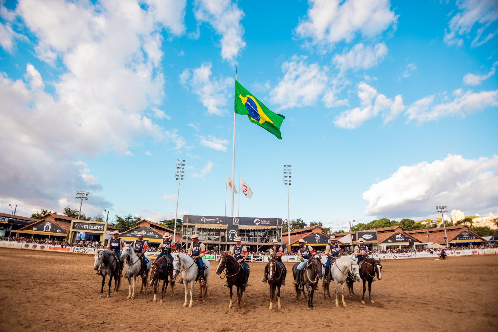 Exposição Nacional do Mangalarga Marchador reúne mais de 1.600 cavalos em BH