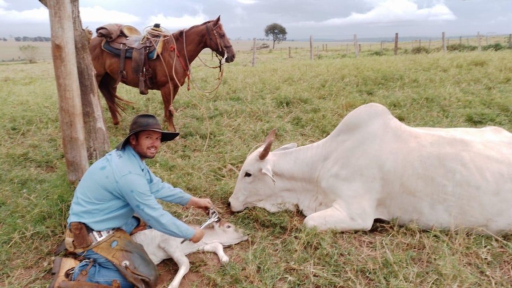 Manejo de bezerros: o segredo da Agropecuária Maragogipe para alta produção