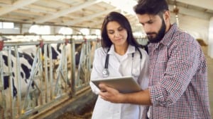 Farmácia da pecuária revoluciona os primeiros socorros no campo