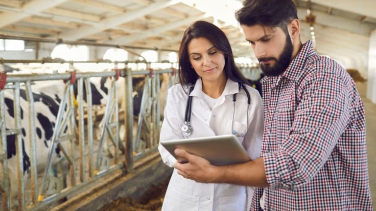 Farmácia da pecuária revoluciona os primeiros socorros no campo