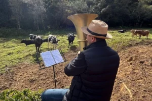 Produtor Osvaldo Martins toca tuba para as vacas (Foto: Arquivo pessoal)