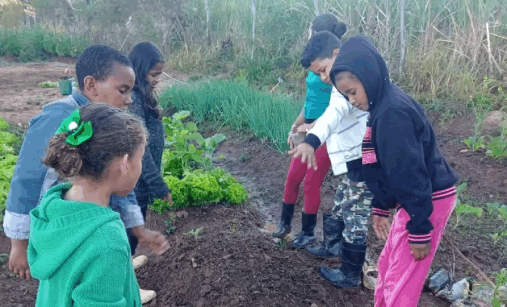 Crianças da comunidade quilombola aprendendo a fazer horta em Minas Gerais
