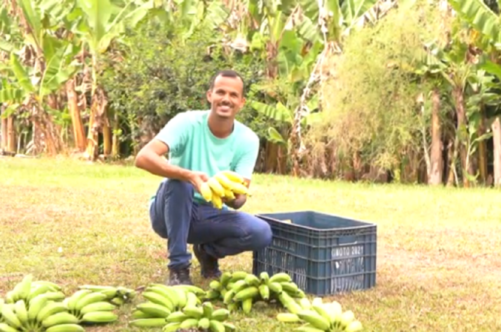 Homem agachado em meio ao sítio com cachos de bananas à frente e uma caixa ao lado
