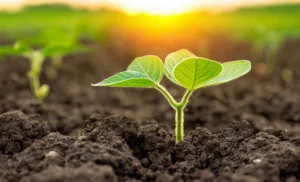 TYMIRIUM® technology