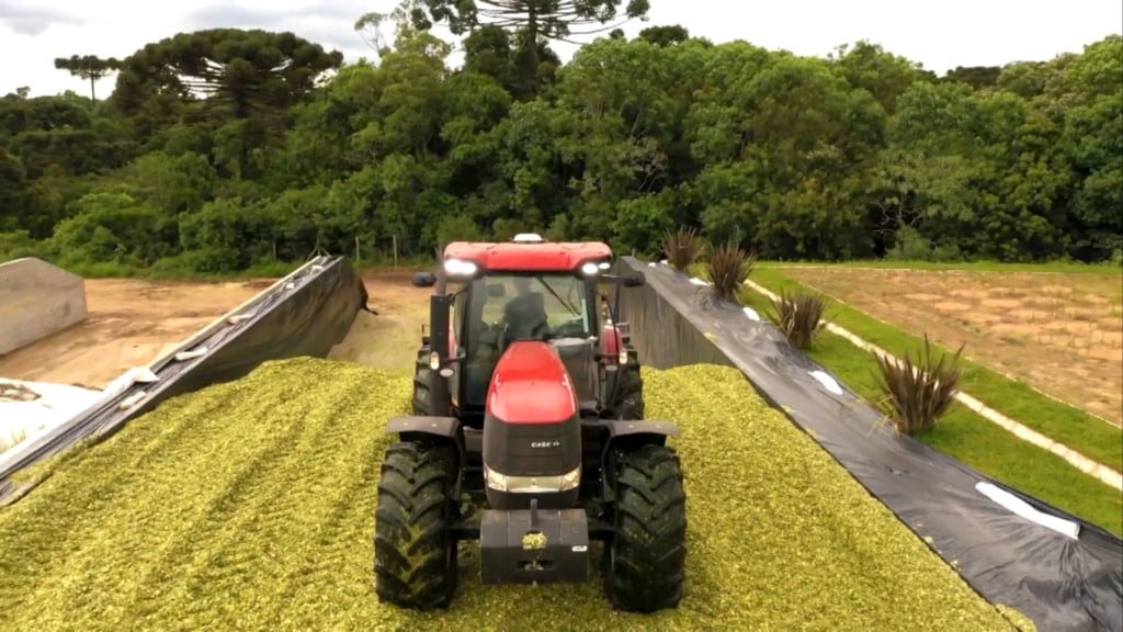 Silagem ensacada de milho: usar inoculante é investimento certo para pecuaristas Silagem ensacada de milho: usar inoculante é investimento certo para pecuaristas