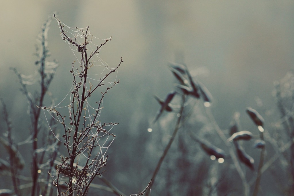 massa de ar frio chuva