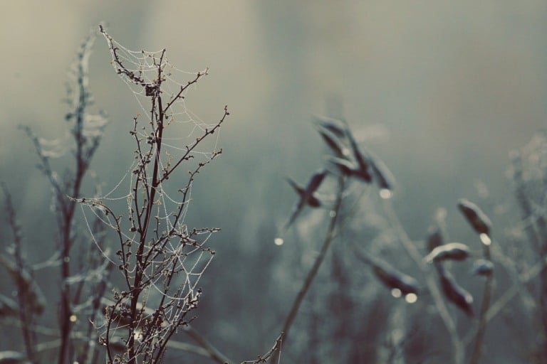 massa de ar frio chuva