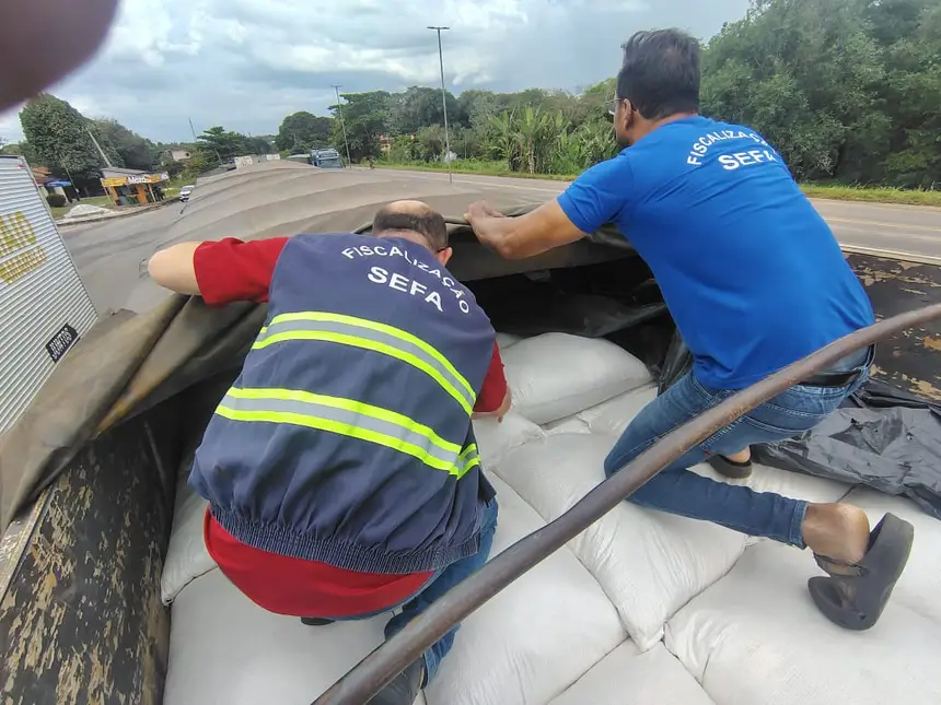 Fiscais; apreensão; farinha de mandioca