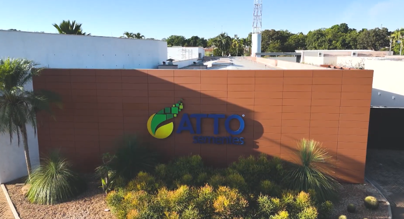 ATTO Sementes aposta em sementes de alto vigor para transformar potencial em máxima produtividade