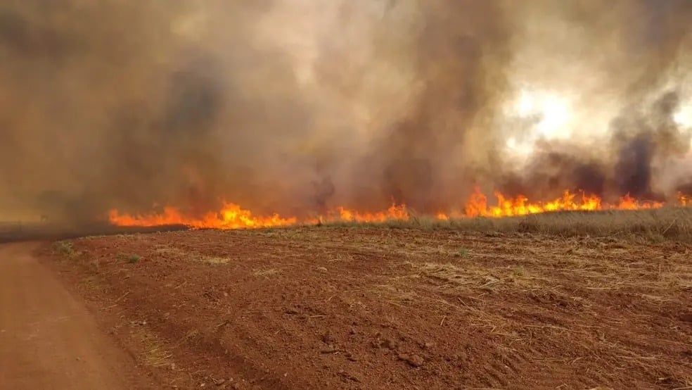 Incêndios ameaçam vida e trabalho dos produtores no estado de Tocantins, alerta Aprosoja