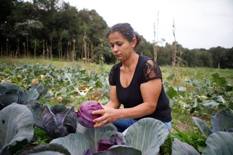 Agricultura familiar projeto BNDES