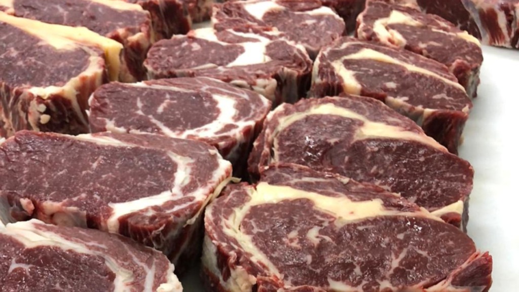 Carne premium com Caracu: a genética e o manejo que geram gado de 23 arrobas Carne premium com Caracu: a genética e o manejo que geram gado de 23 arrobas