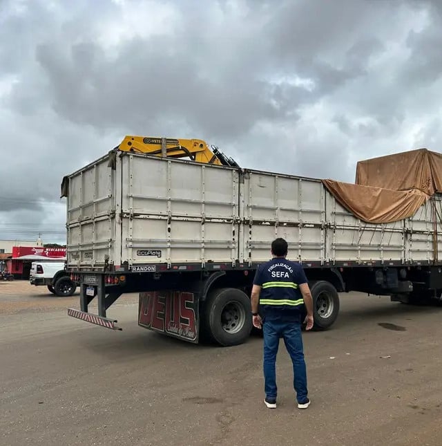 Carga apreendida cabeças de gado Pará