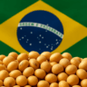 Imagem gerada por IA 