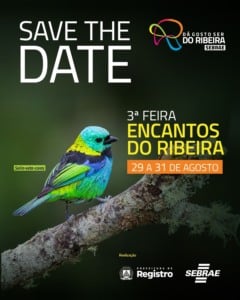 Uma arte com um pássaro na capa.