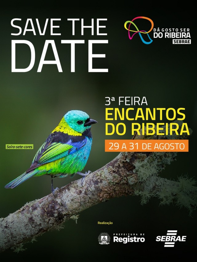 Uma arte com um pássaro na capa.