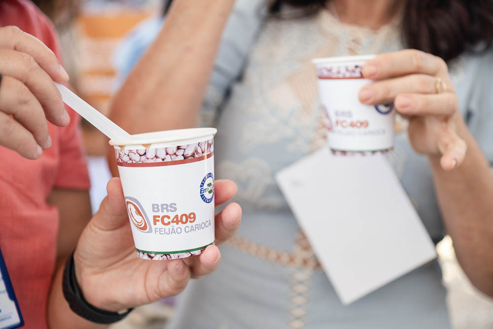 Embrapa lança novo feijão carioca durante evento em PE