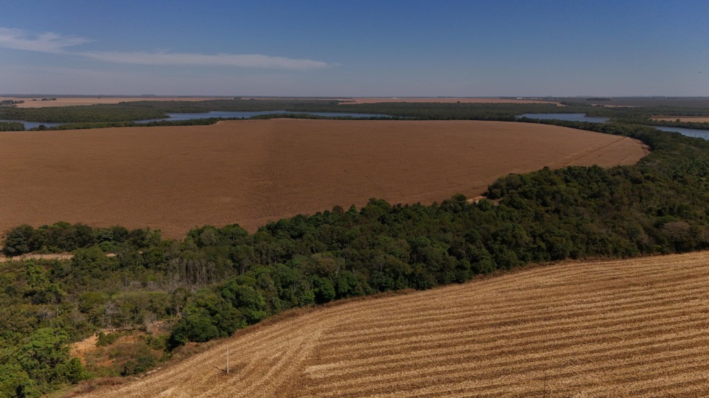 Foto: Aprosoja MT Foto: Aprosoja MT