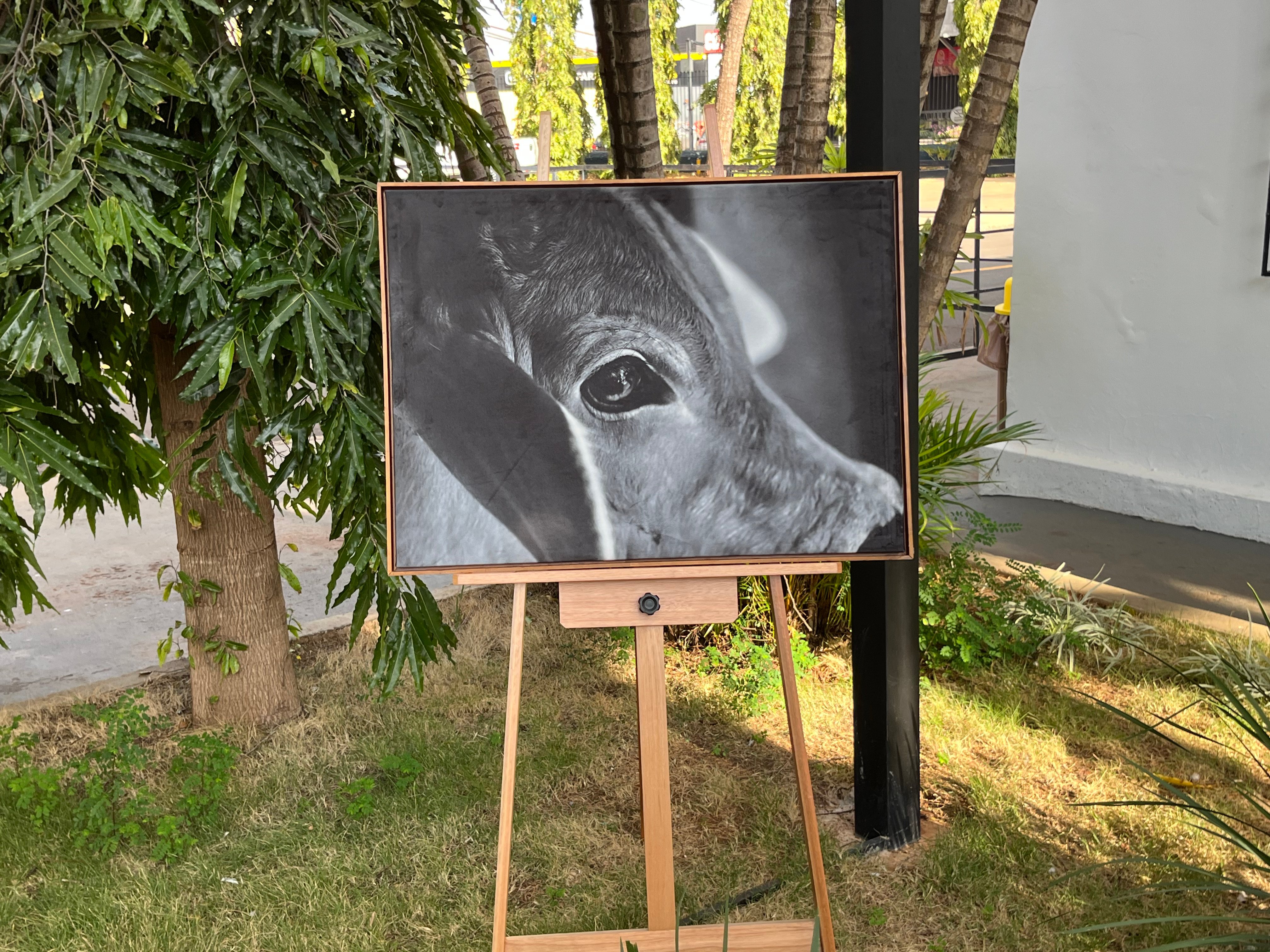 A arte de eternizar a vida no campo: fotografias de Guta Alonso