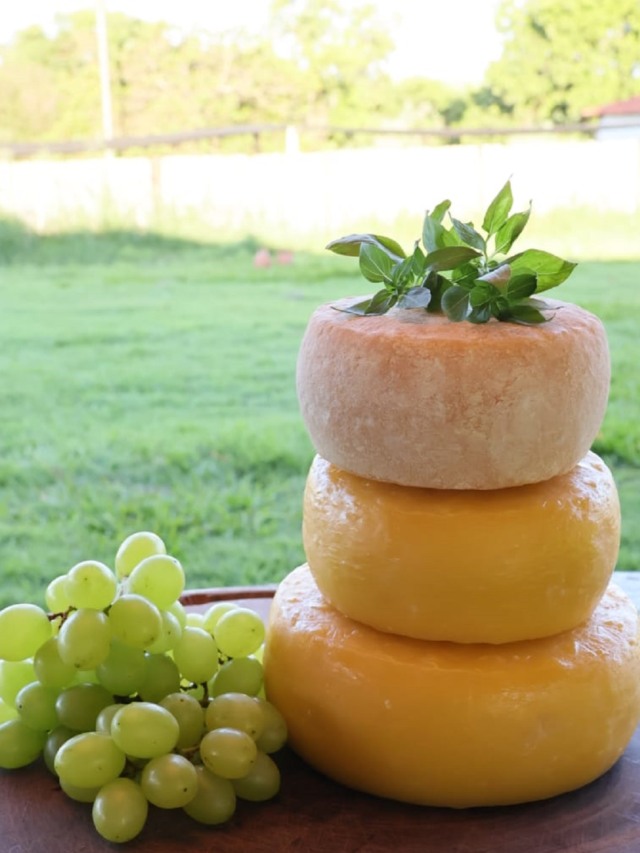 Na foto, há três peças de queijos maturados, ao lado esquerdo da foto, há uvas e no topo dos queijos folhas verdes