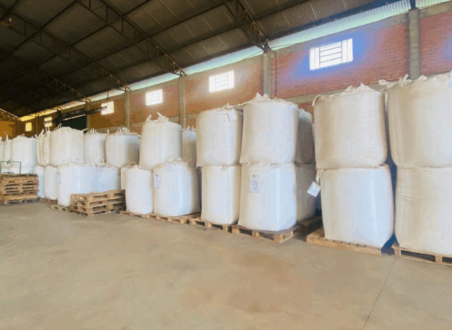 Operação no Rio Grande do Sul apreende 3 mil toneladas de sementes em situação irregular