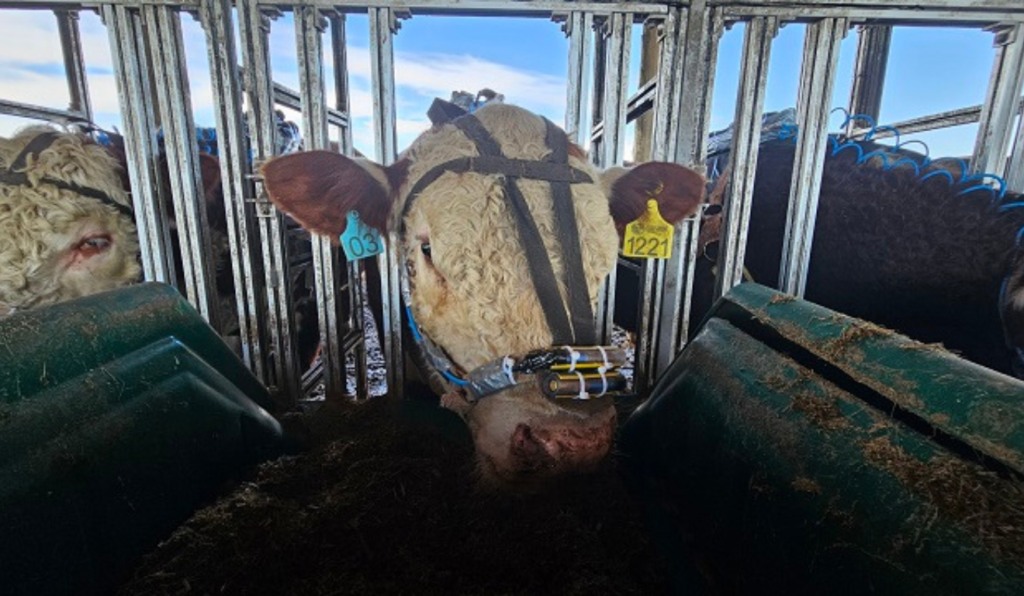 Tecnologia de ponta para monitorar emissões de metano Tecnologia de ponta para monitorar emissões de metano