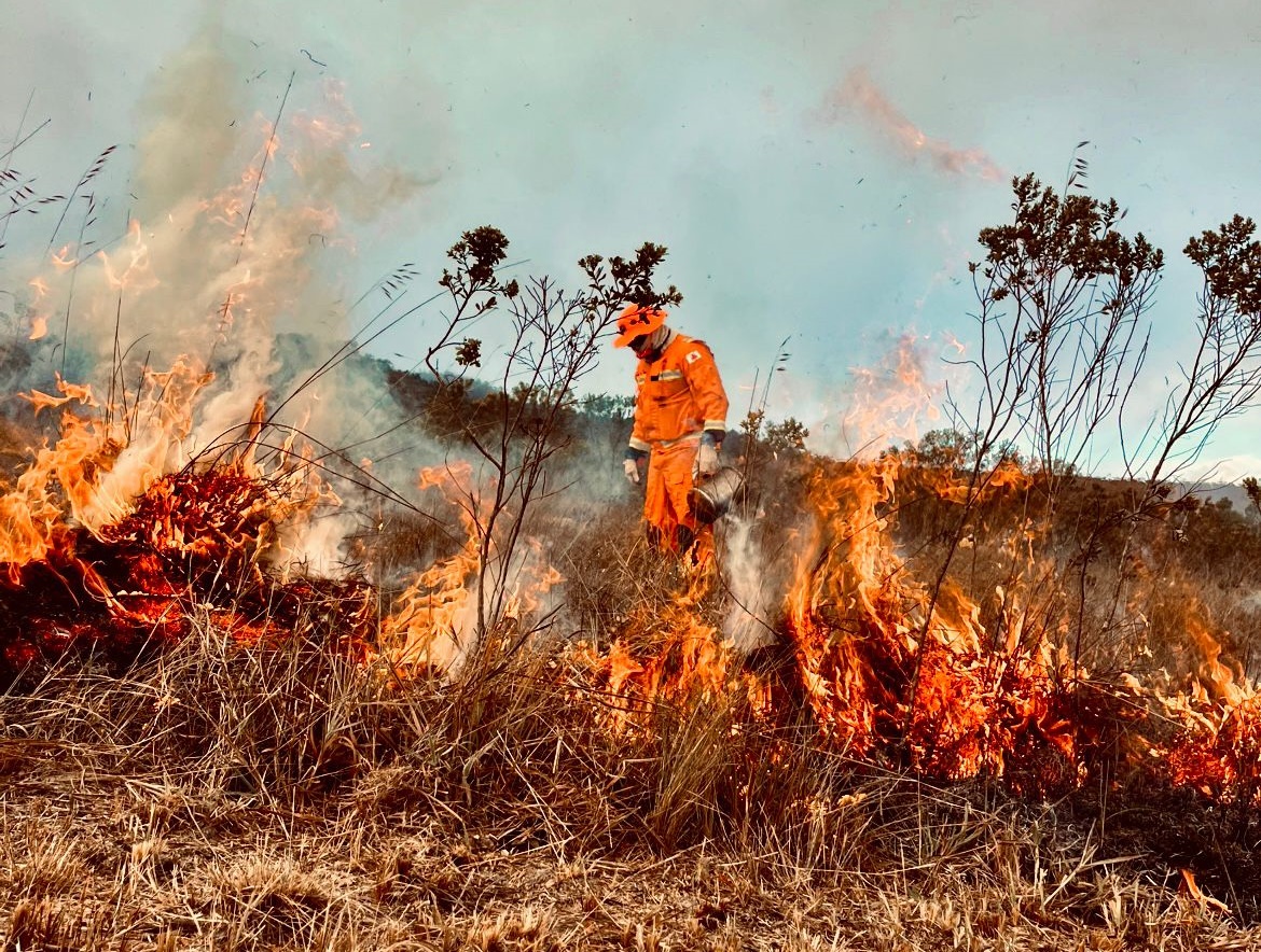 Governo publica regras para prevenção de incêndio florestal em propriedade rural