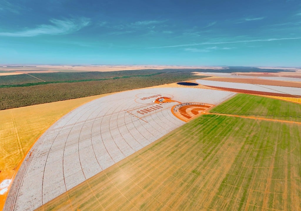 Dia do algodão, evento, abapa, cotonicultura, fazenda santanta, grupo franciosi