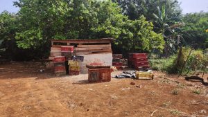 Abatedouro clandestino de frangos é interditado em operação policial
