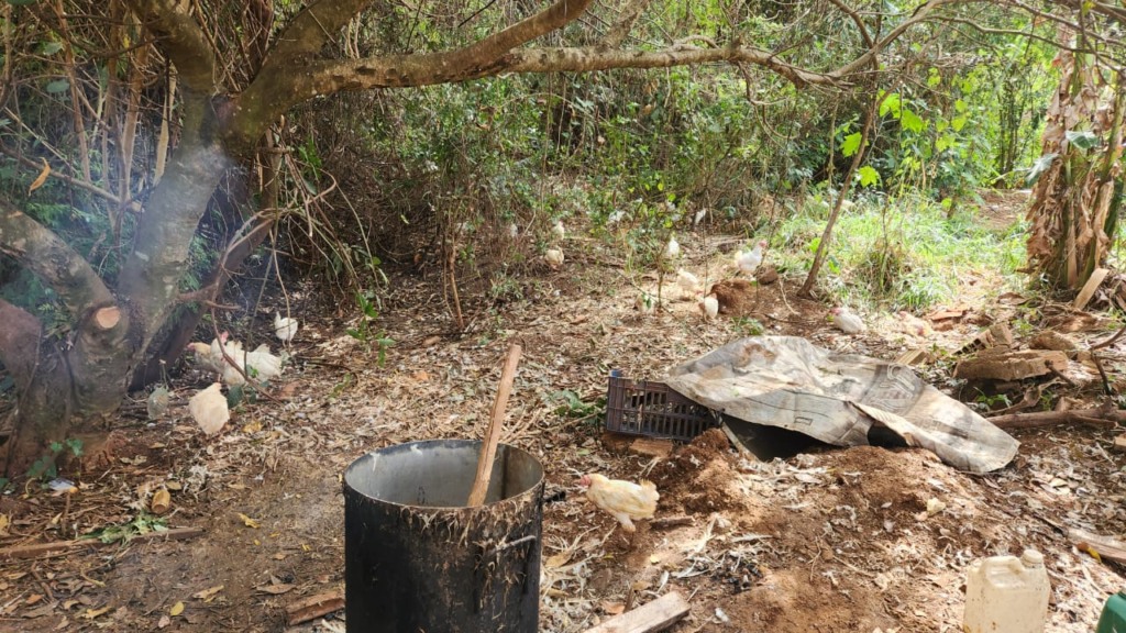 Registro feito pelas equipes durante a ação