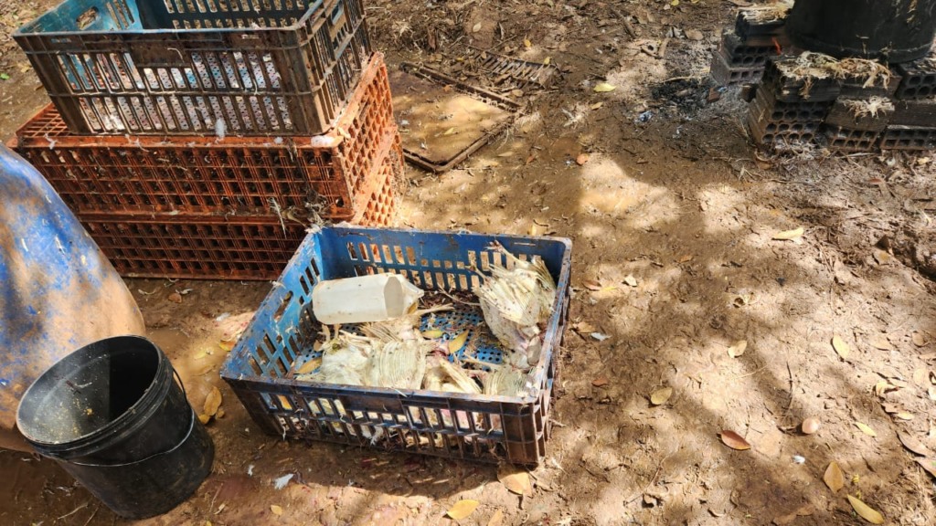 Registro feito pelas equipes durante a ação