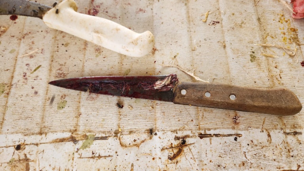 Registro feito pelas equipes durante a ação