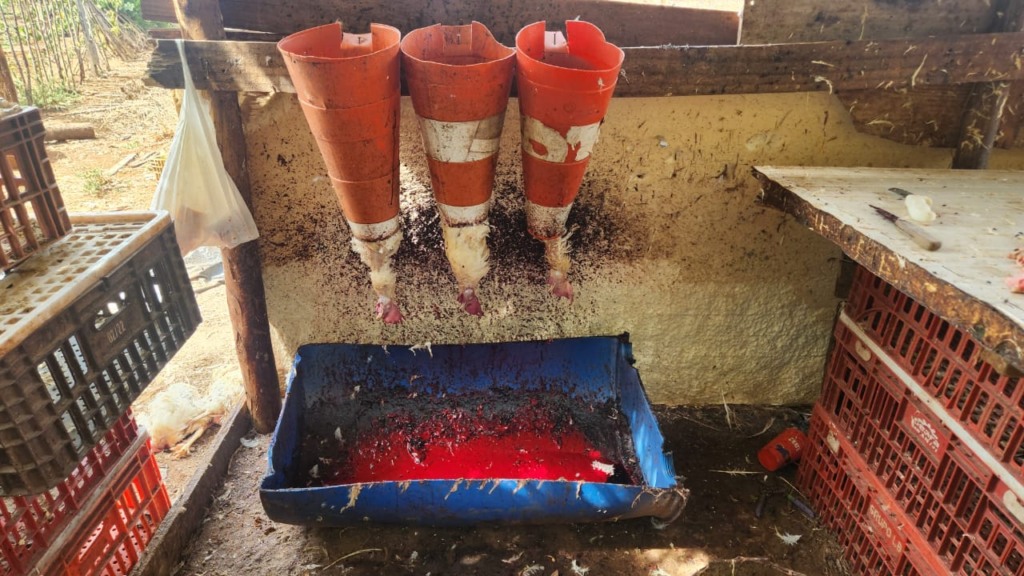 Registro feito pelas equipes durante a ação