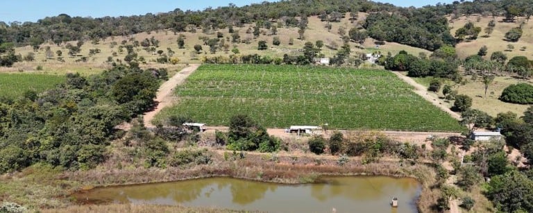 Foto: Leandro Moura |Canal Rural
