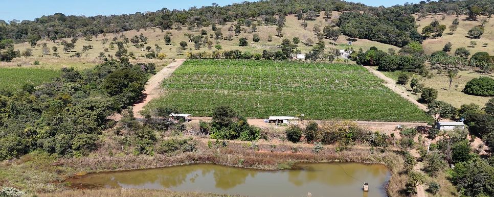 O que você considera mais desafiador para investir no agroturismo?