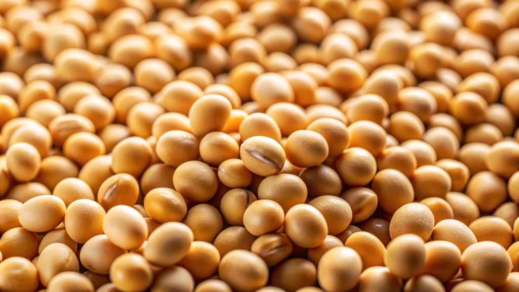 Foto: Pixabay Foto: Pixabay