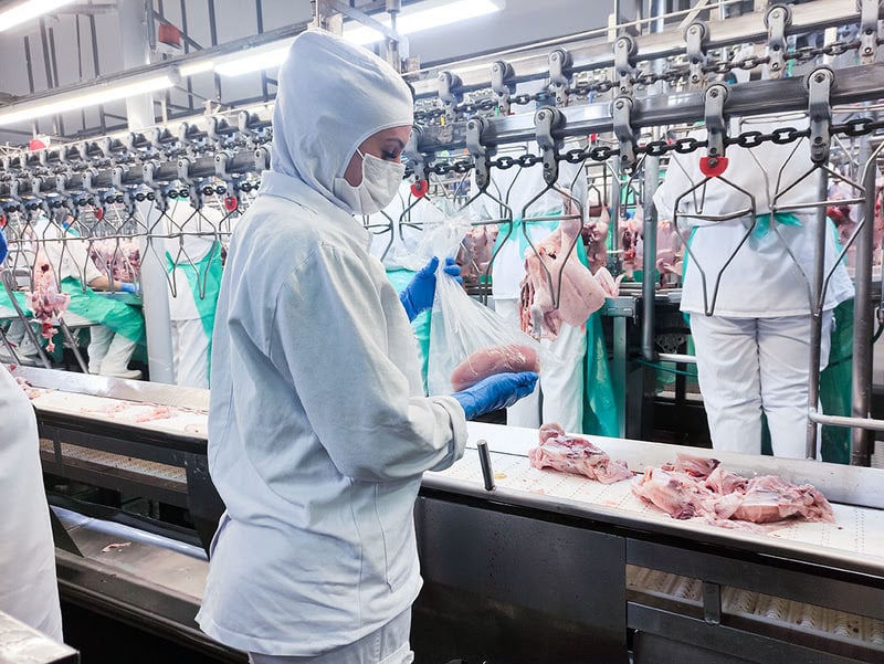 Missão chinesa inspecionará cadeia avícola brasileira antes de retomar importações