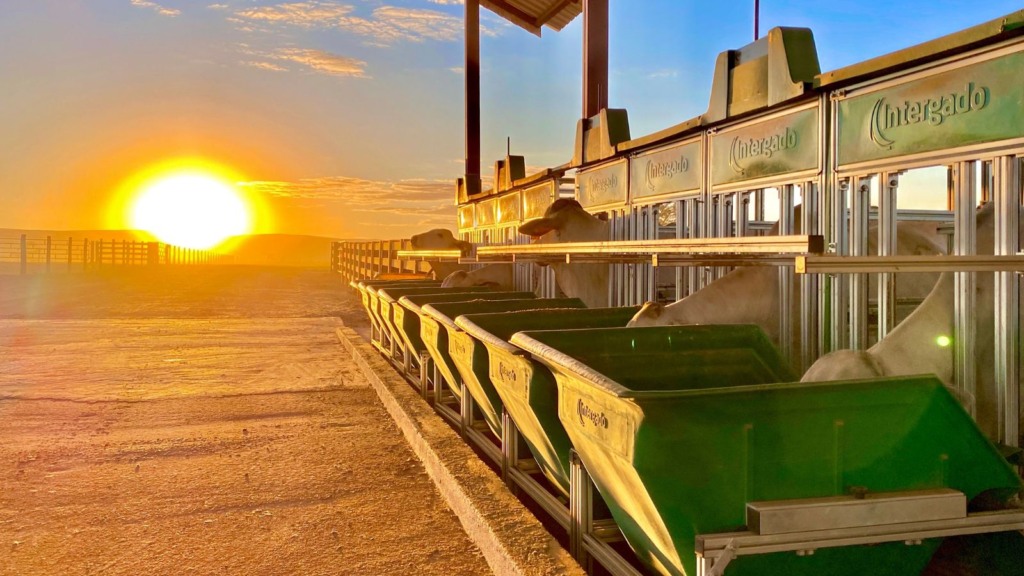 Confinamento automatizado: a receita para uma arroba mais barata e lucrativa Confinamento automatizado: a receita para uma arroba mais barata e lucrativa