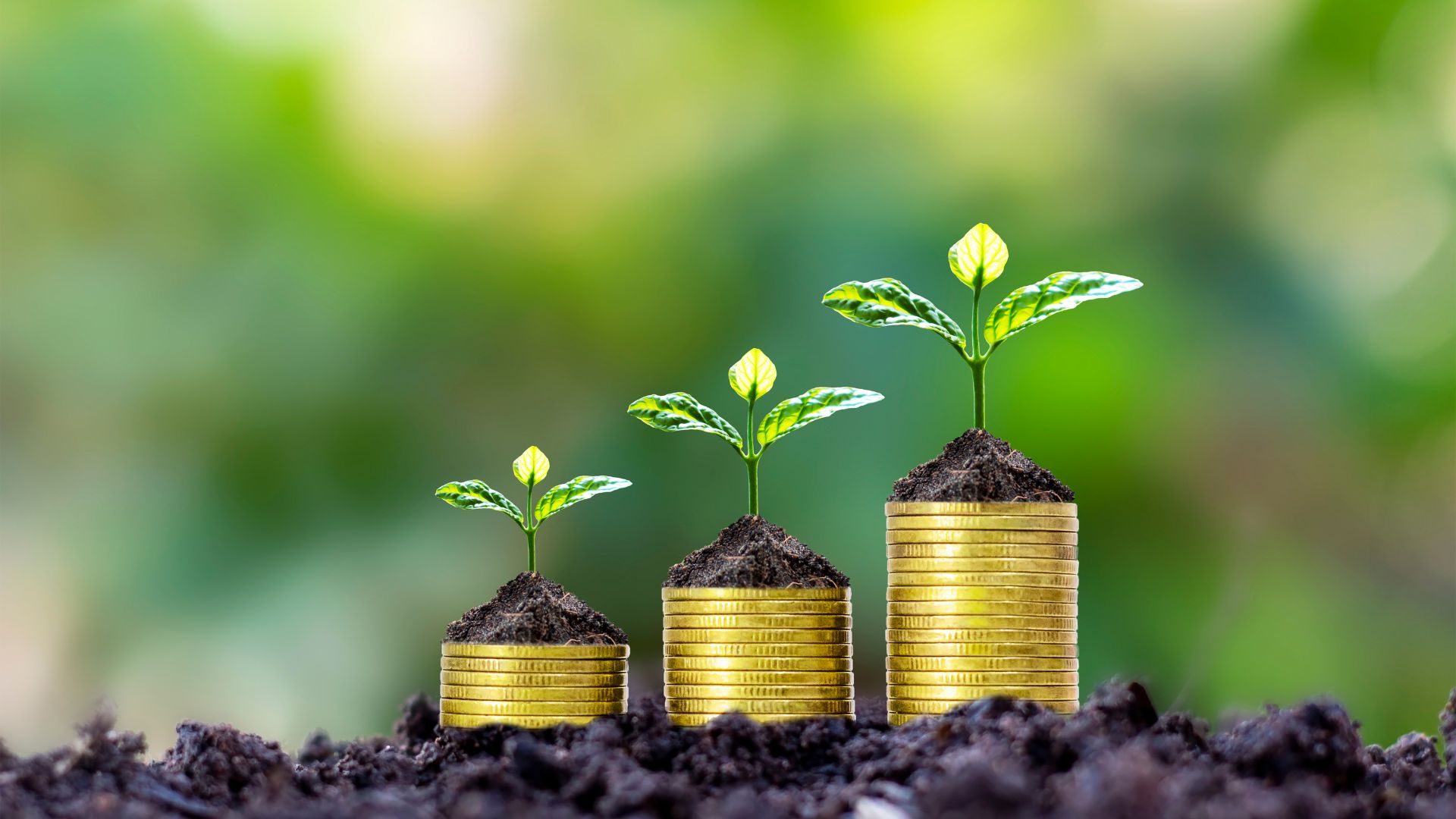 Crédito privado do agro cresce e amplia espaço para CPRs e LCAs