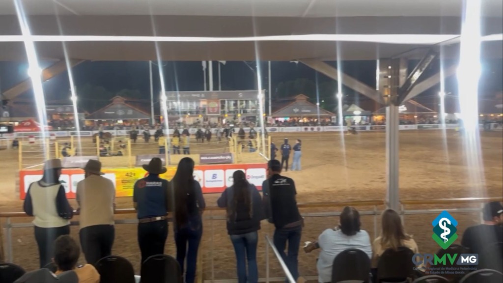 Agropecuária com segurança: como o veterinário garante a saúde do gado em exposições Agropecuária com segurança: como o veterinário garante a saúde do gado em exposições